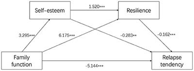 Family Function Impacts Relapse Tendency in Substance Use Disorder: Mediated Through Self-Esteem and Resilience